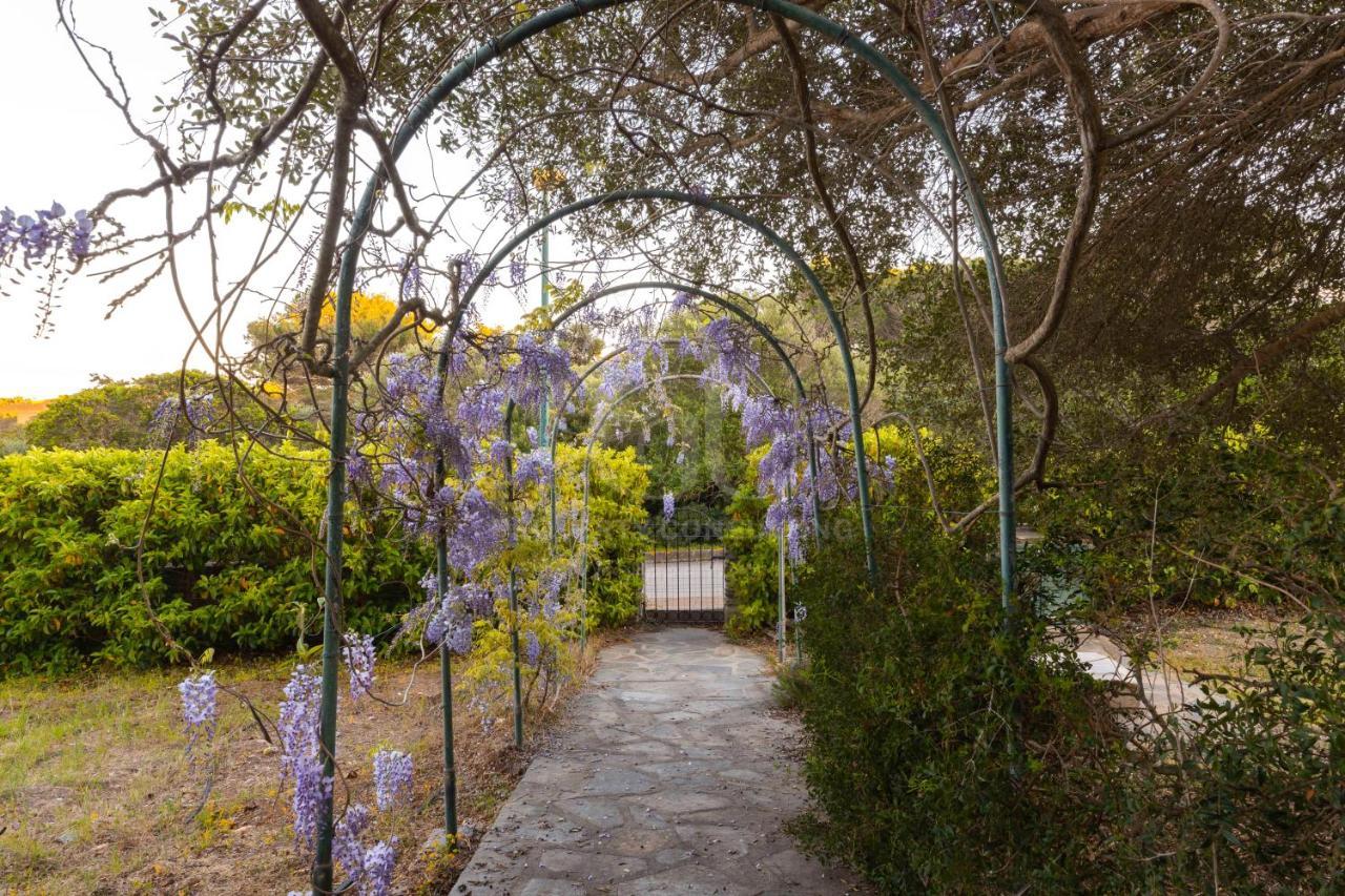 Apartamento Il Glicine Cala Lupo Stintino Exterior foto